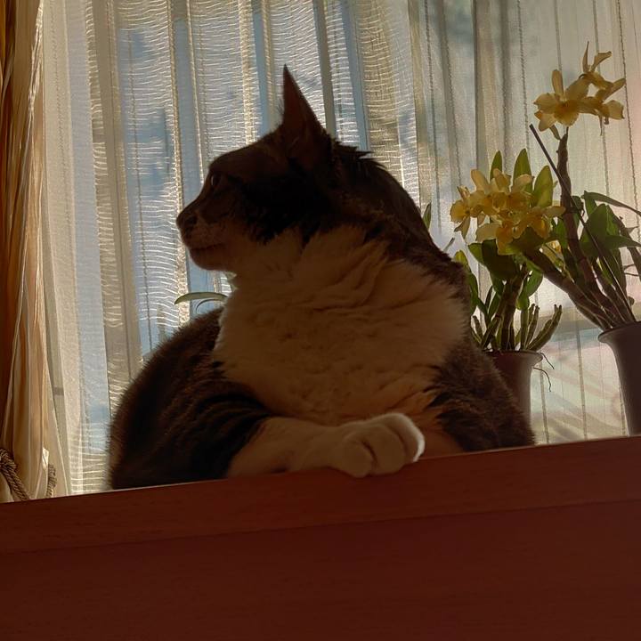 6ea30b6e f4cb 4244 9e02 0421ef89b563 1645484709004