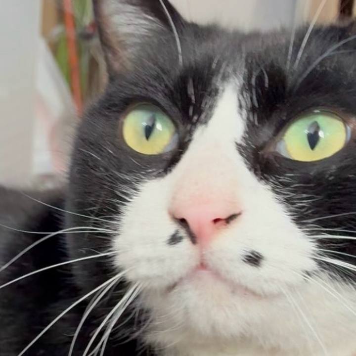 6ea31a18 0024 4cda be3f 1c8f85b3122c 1767445877439