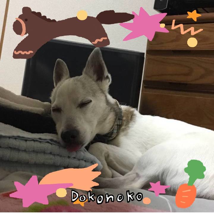 6ea39c73 b708 4418 b699 5c4d8276f4bf 1772403377542