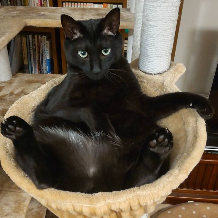 6ea3a405 0da3 4871 9b09 fade525bbc6e 1649237963382