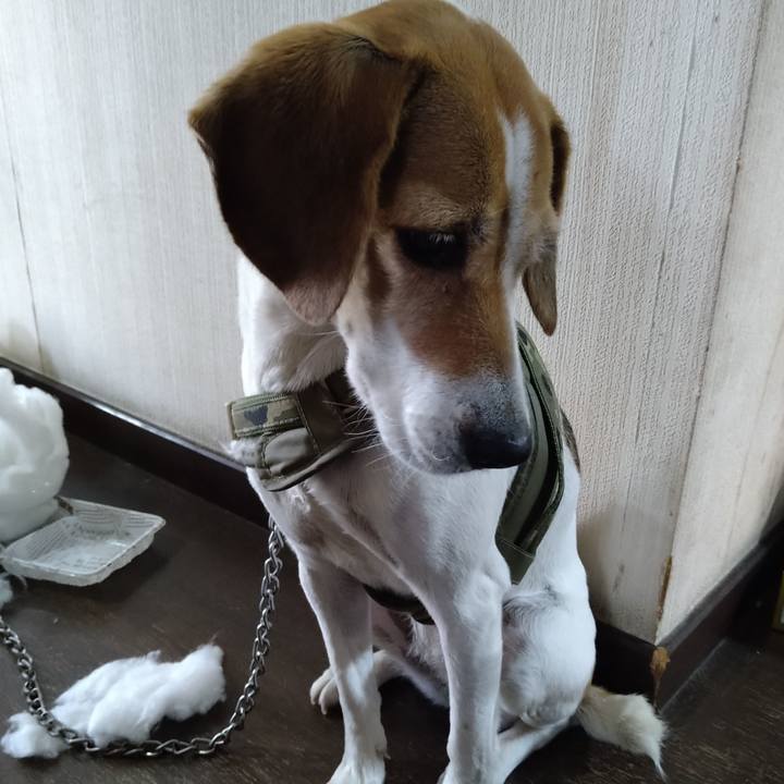 6ea3b93a e166 4b77 9d14 48b85701bb56 1671193239350