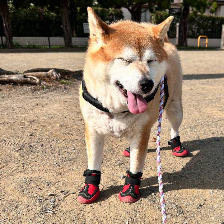 6ea3ece9 43d9 4de1 a683 f5fa18e029cf 1729993787896