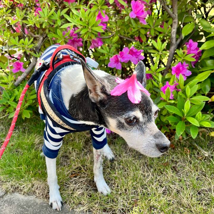 6ea43a1e 34fa 4442 b1cf a9adbaf854ad 1651286964901