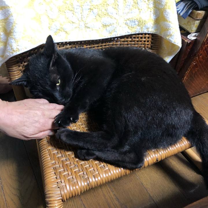 6ea441df 5bd6 41e4 9543 549c261dfd0d 1569072302364