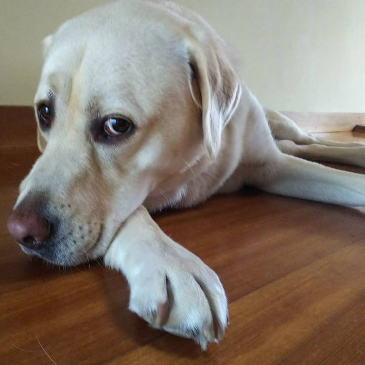 6ea44f94 eb80 42cf 999d aae10a00dd40 1528941622077