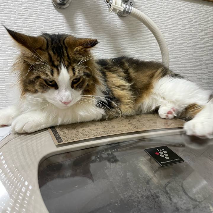 6ea45820 85bb 4e50 ae56 1bfaeb2f50c8 1641685179045