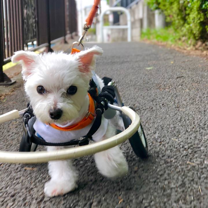 6ea45a20 f06d 4266 8e69 7d82bb95a66d 1559110818787