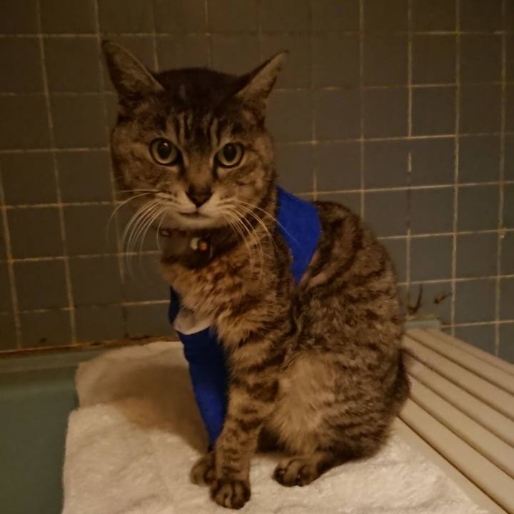 6ea4694a 6583 4870 8be4 c7d11167fbb5 1586860207125