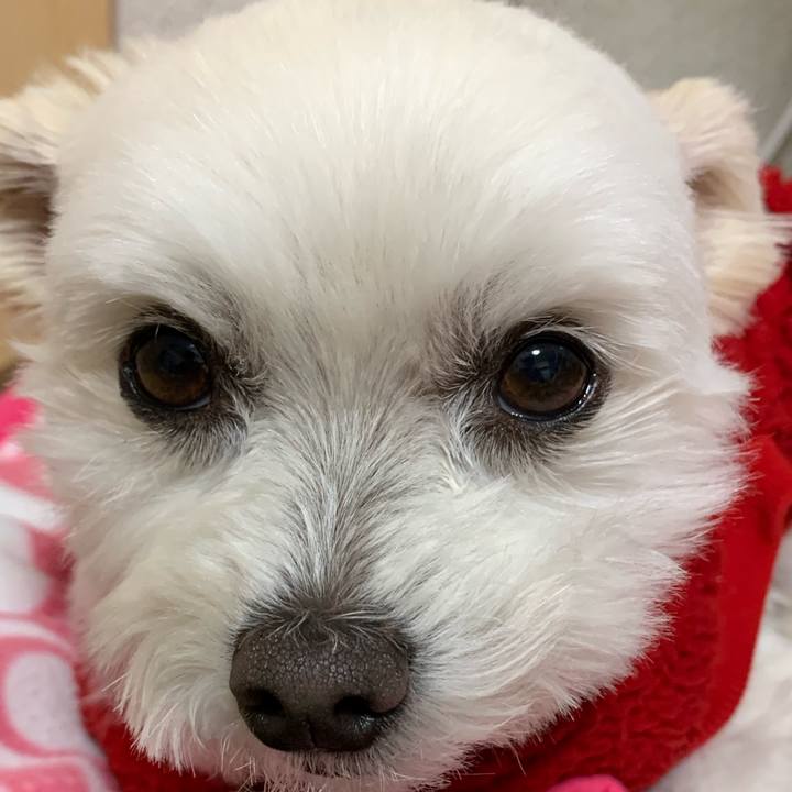 6ea4747c 98e4 4357 80c5 21f9315cd7c1 1640948612127