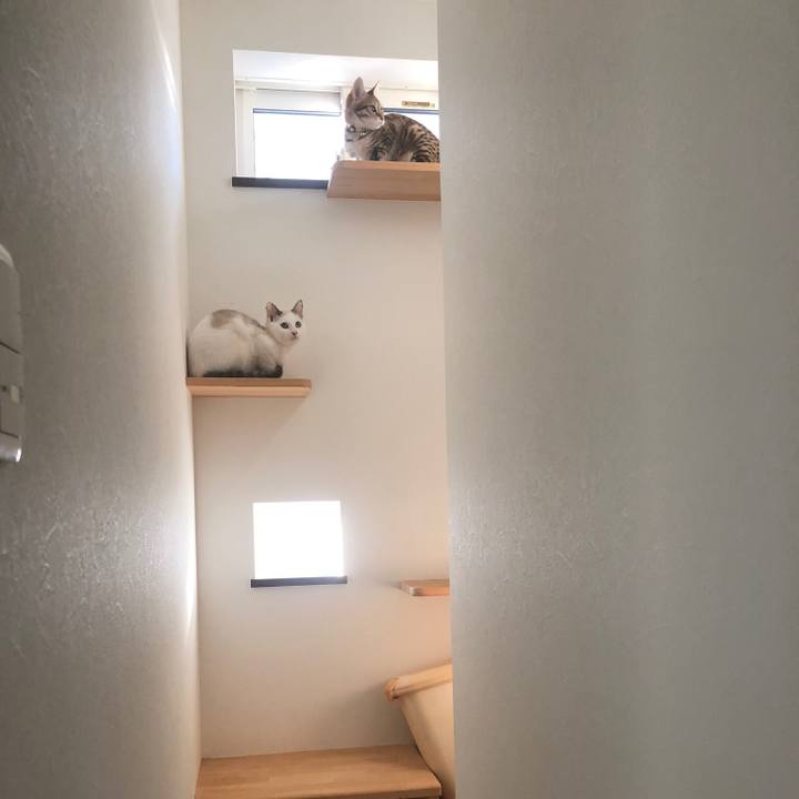 6ea48d1f be81 4237 87d5 64a24bf91bb5 1546850076061