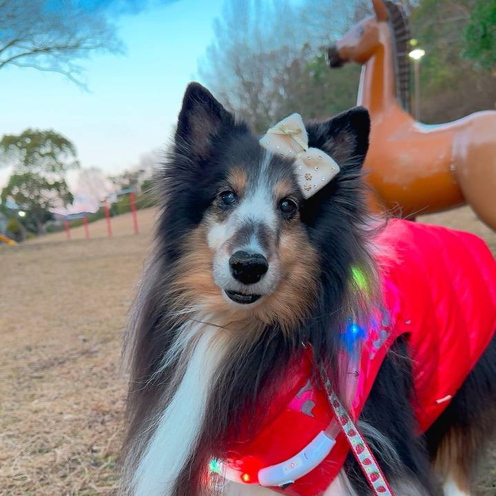 6ea49bf6 3b31 484e 8b91 ff902472ab20 1736267865990