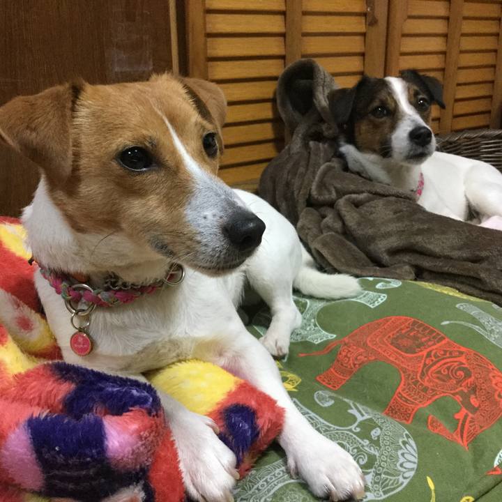 6ea49e54 ad31 4400 9e75 aa3fd0f7a56e 1523966497237