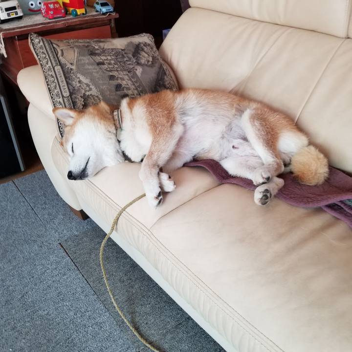 6ea4ae8d 0e5f 45fe 9b7e 8e9ea078f499 1659925985118