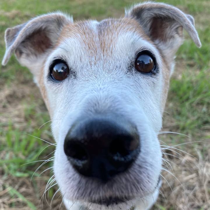 6ea4cf35 59a5 41f1 bf91 e32fe38c0d8e 1603617321261