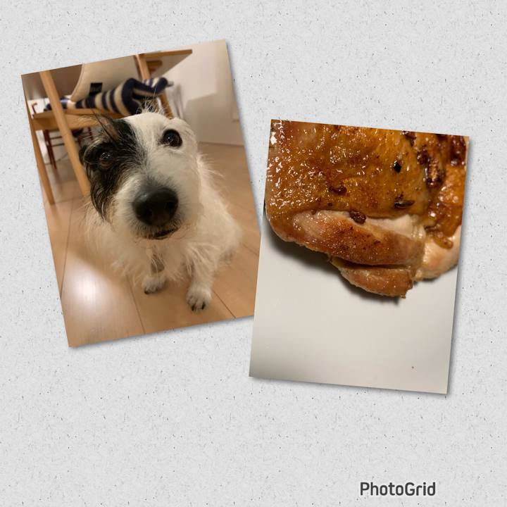 6ea4df0d 0044 47a4 8176 e610b7484053 1675593640330