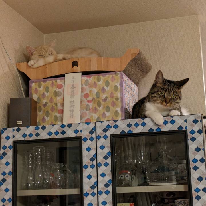 6ea4f67d 3548 4de1 8ba0 8f103dd5e9d0 1688051582459