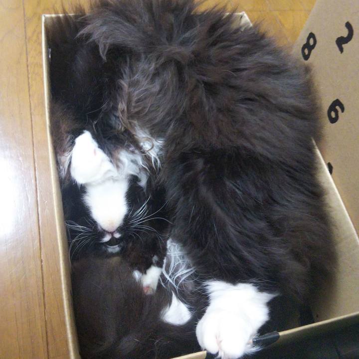 6ea520e1 504b 4d6a 8ca6 37064360d247 1661219304766