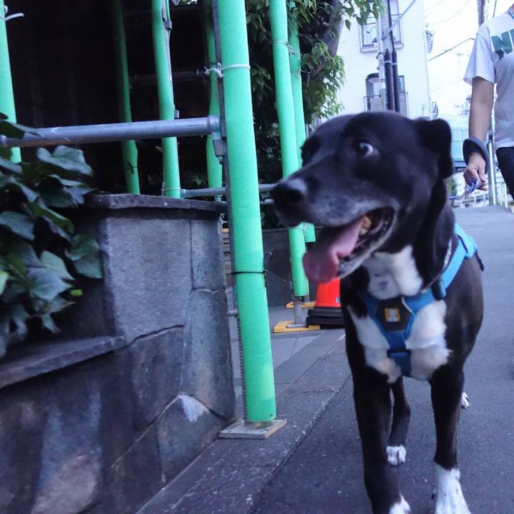 6ea5387c e52c 42c8 8c99 7d4039b4af2d 1693045014871