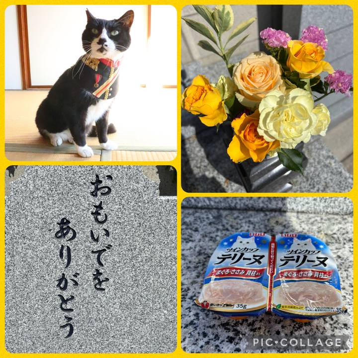 6ea56923 c999 4b77 847f f9c573ea92a6 1776755987216