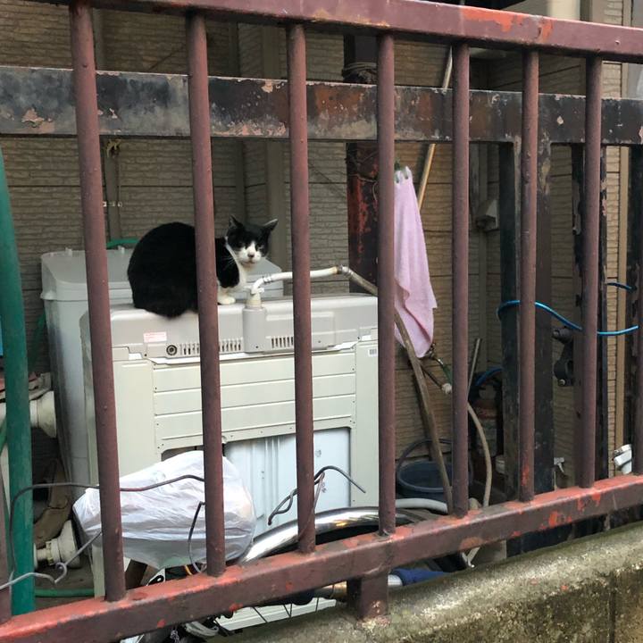 6ea58cb0 e6c5 4d34 8819 5bdf44b65f2f 1575207130939