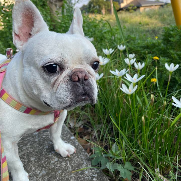 6ea595d0 a267 4c5a 957e 54c4ed5c0a9f 1757457906676