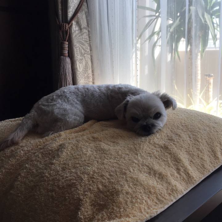 6ea61381 25c1 446a 9e7c 82cb2a84f4f9 1510579995194