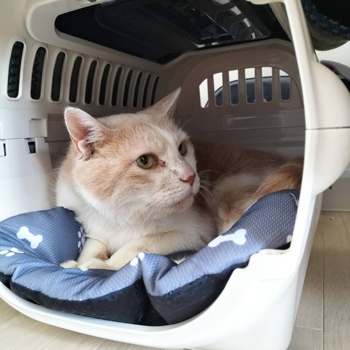 6ea61e86 d53e 4dbe 80c6 438868cbedac 1691793455355