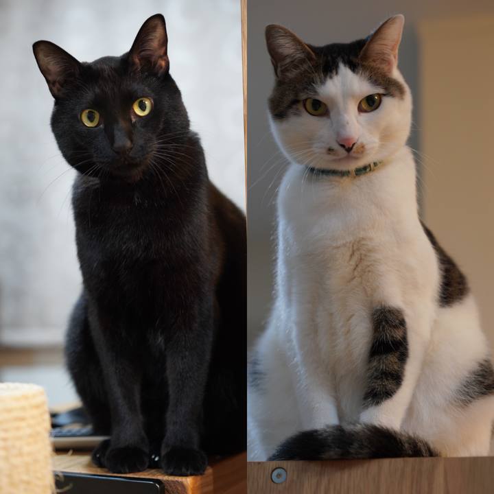 6ea63117 fccd 4d8c 9b97 7214957a871e 1579218932381