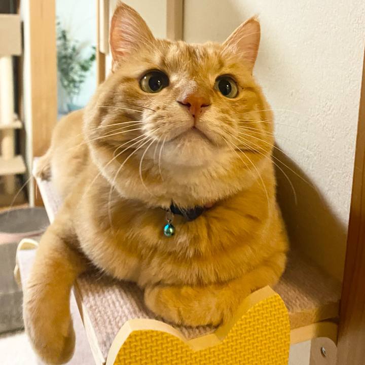 6ea6405f 2758 435b aa89 b3ade53d8b8e 1643505831277