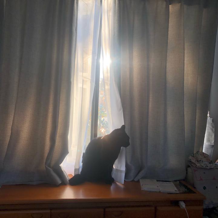 6ea645d8 feb3 4bc8 b04e af29da09181c 1608100160480