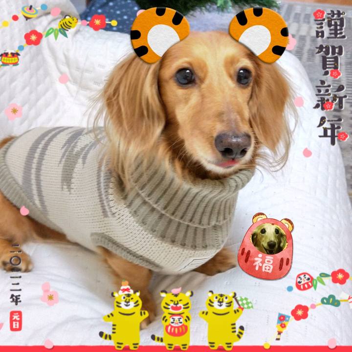 6ea6a65e fecd 4ba1 a089 afd3b338ff78 1641292627967