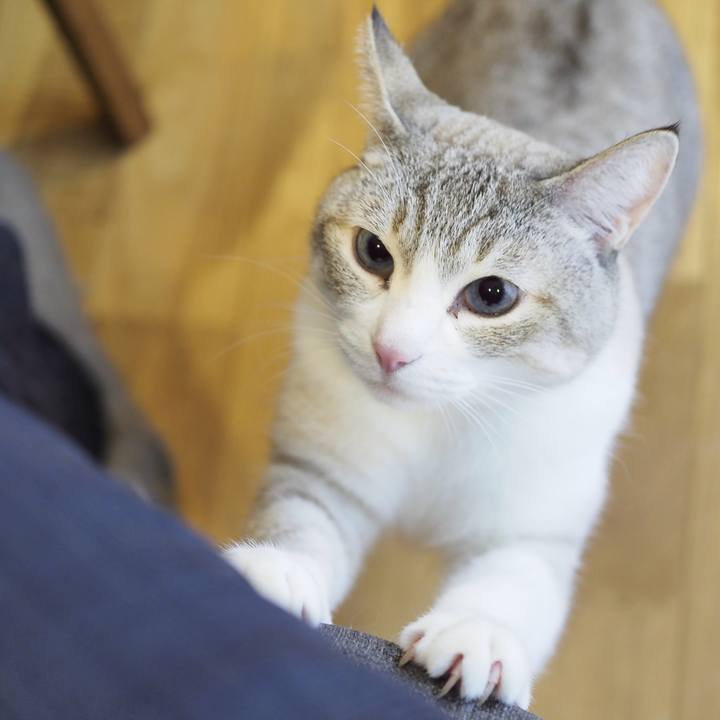 6ea6aaed 5cf2 4a61 8680 15b52c54a819 1710129604994