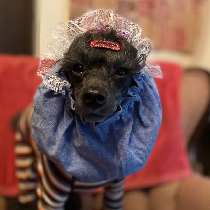 6ea6fdef c13f 44c1 bea3 6644b49813b6 1665618626057