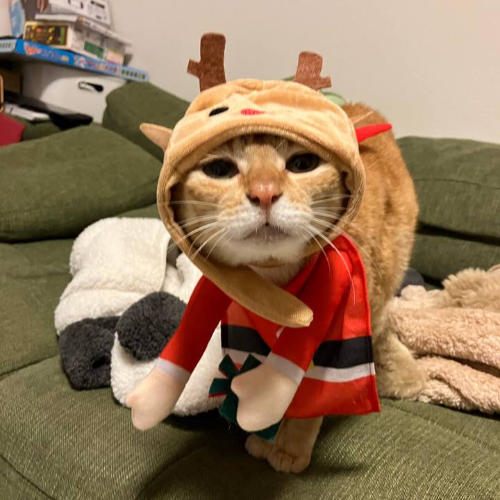 6ea71f0e d708 4c13 8068 77b14a20b6fe 1766307529026