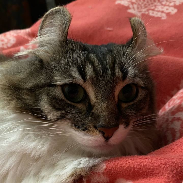 6ea721c9 5ea6 4a20 a3d3 06e42d71b5df 1581140205217