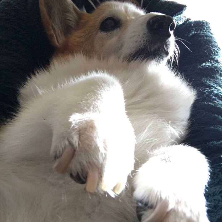 6ea773c4 d4c3 435a 8cab 9a154a2d40d7 1575084603351