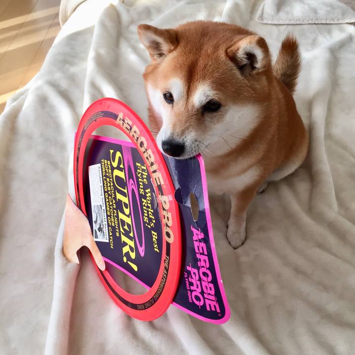 6ea7a921 d411 4796 86e0 d62fe1e14d67 1545696294558