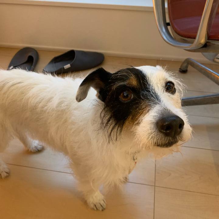 6ea7b349 4463 41bd bf41 2b81abe1b8fa 1620034037607