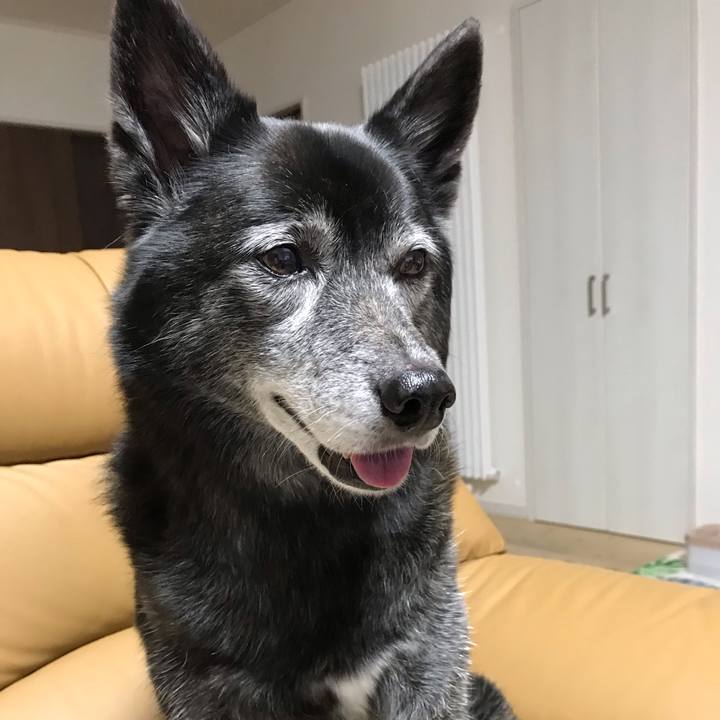 6ea7ff88 34e5 442a 8652 d87a01d1b6f2 1643679099653