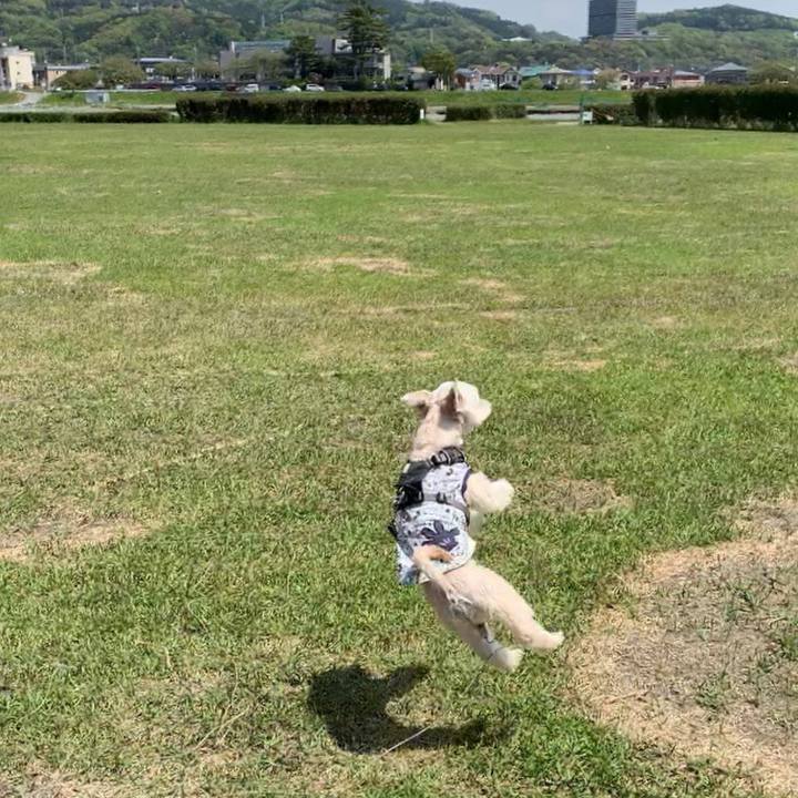 6ea805e4 bae4 4122 a43c cb22ee1be1e8 1587555811515