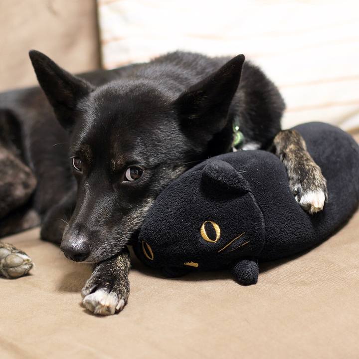 6ea811e8 b08a 4523 831b 06055c7ea068 1544602604136