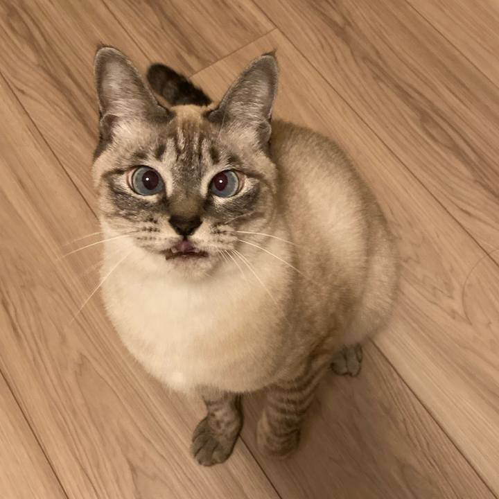 6ea85951 a86a 4473 a30f f4b487e2f4ed 1639469135591