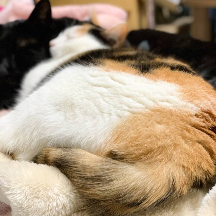 6ea87dfc dc2f 4b5b ae6e 2929cfa675b5 1581903877750