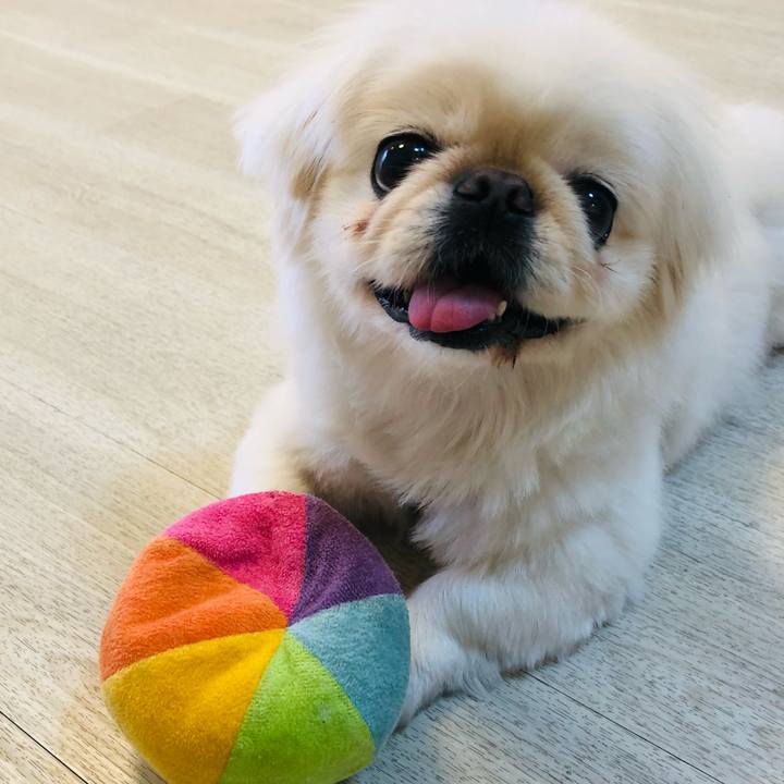 6ea89875 415d 4586 be0f 75567f5e24cf 1618827714912