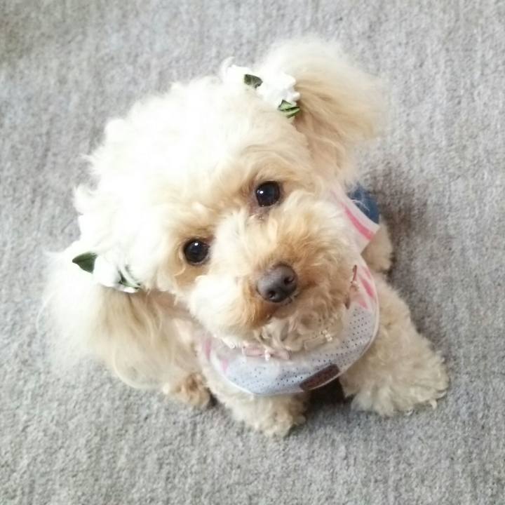 6ea91ba8 48af 4e1b b100 fedf409a7c9a 1526464139379