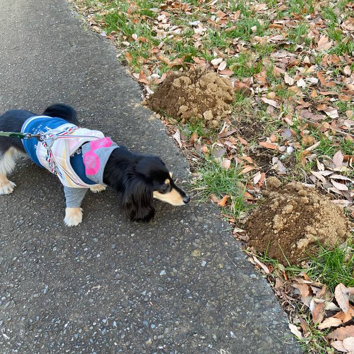 6ea92bdf 1c07 4dd0 8bad 25ea5a0c949b 1737617226073