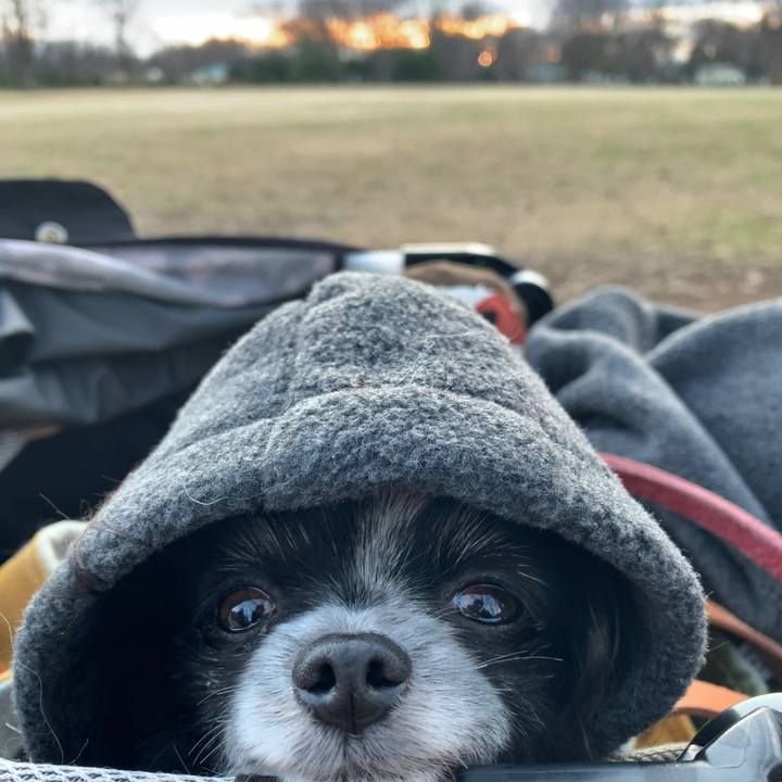 6ea938f5 5a22 46be 95c3 27bd6a89a4f2 1577865555790