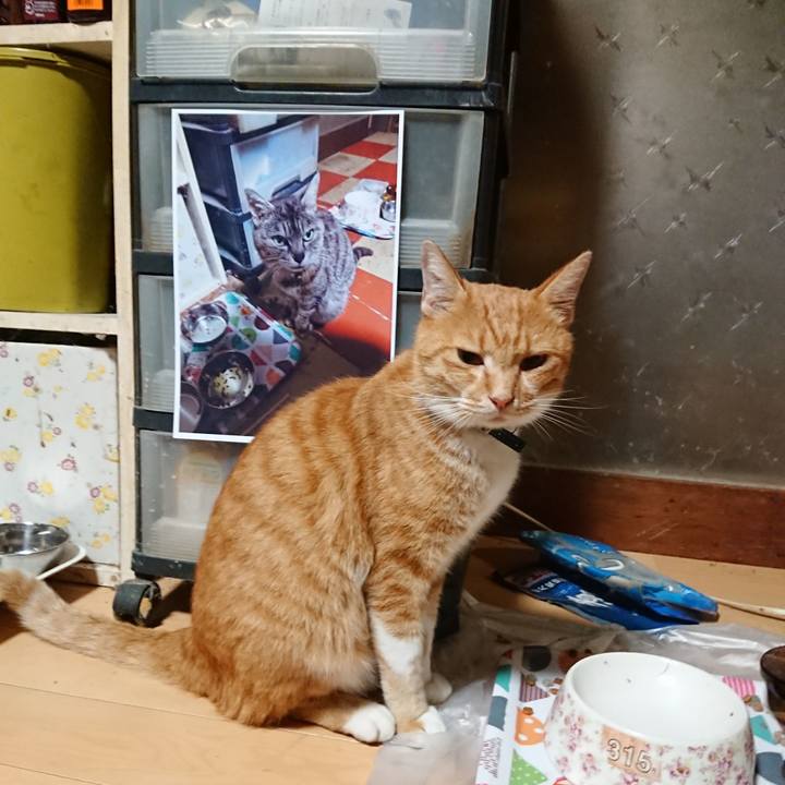 6ea95686 1d80 4d32 8fa1 2300648c8a2f 1599423240129