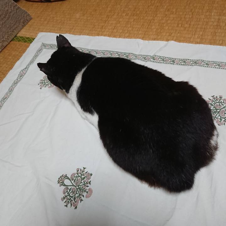 6ea96a4a fd00 4640 a691 b474542ff49d 1590463741732