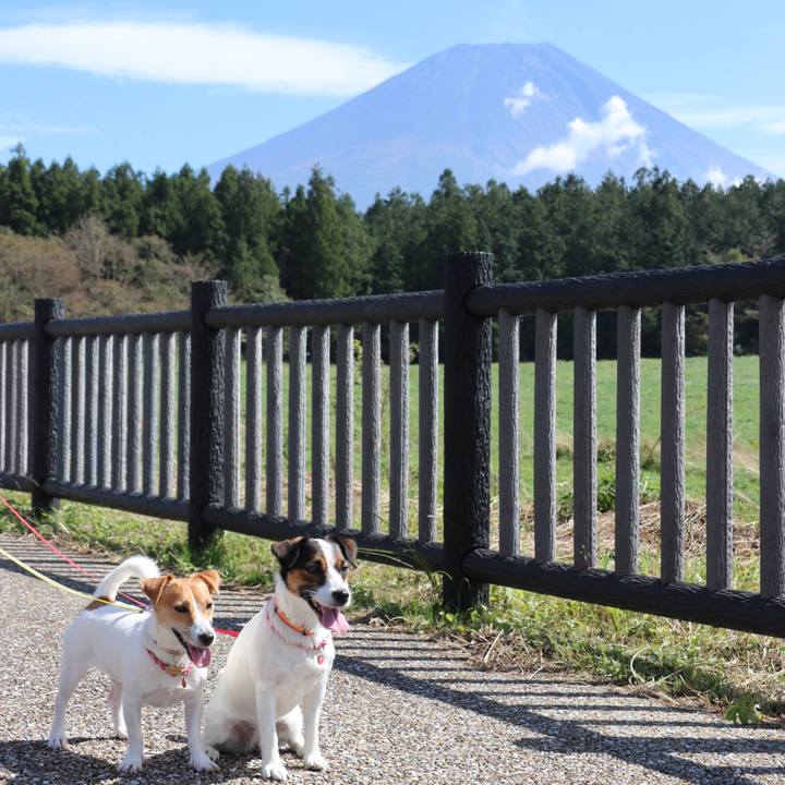 6ea9868f 4fdd 4dfc 83f6 e76bfa40e2a8 1538890453962